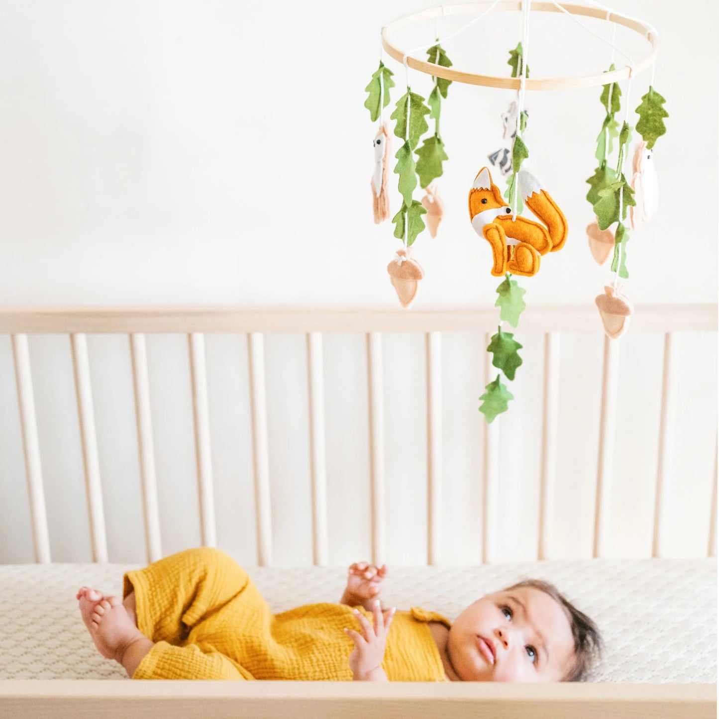 First Landings Woodland Nursery Mobile